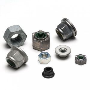 Nuts Supplier in India